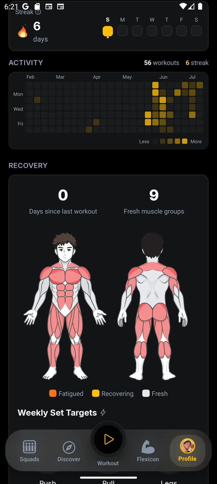 Progress view with a workout streak, an activity heatmap across months, and a muscle recovery body map.